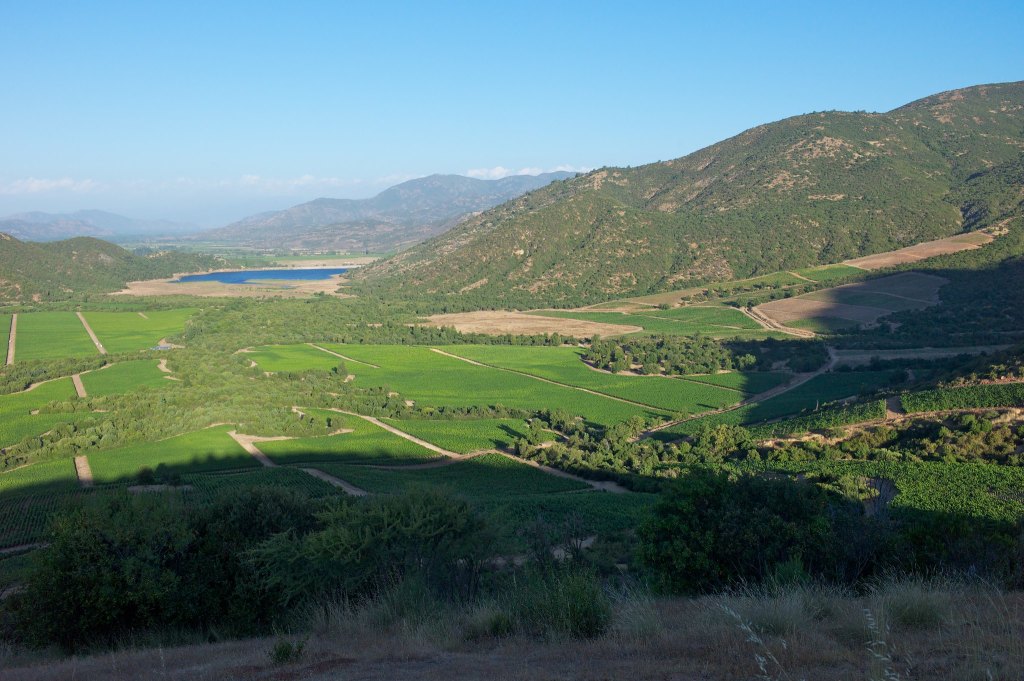 2: Vik ‘A’ 2018, Viña&nbsp;VIK